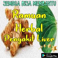 Ramuan Herbal Penyakit Liver on 9Apps