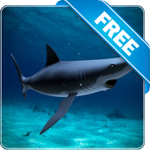 Shark attack lwp Free icon