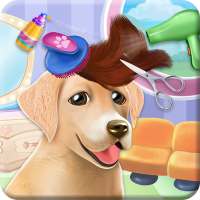 Fluffy Labradors at Hair Salon on 9Apps