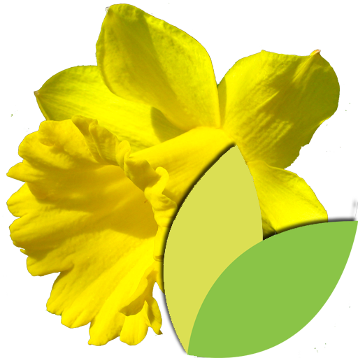 Bulbes à Fleurs icon