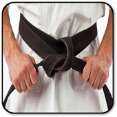 Karate icon