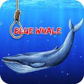 Guide For Blue Whale Suicide