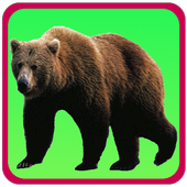 Kids Learning Animals &amp; Birds icon