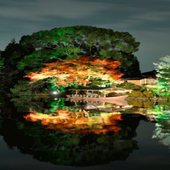 Shikara Boat Live Wallpaper icon