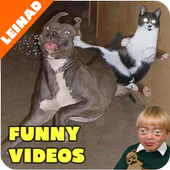 Funny Videos 2018 icon