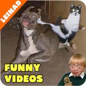 Funny Videos 2018