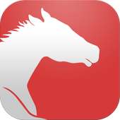 برنامج عربي لتصفح الإنترنت on 9Apps