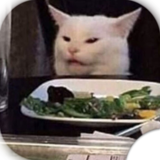 Stickers Gato Me Dijiste Que WastickerApps icon