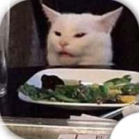 Stickers Gato Me Dijiste Que WastickerApps