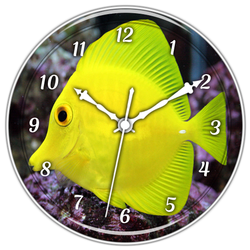 Fish Clock Live Wallpaper icon