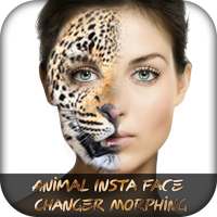 Animal Insta Face Changer Morphing on 9Apps