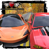 Traffic Racer Fever icon