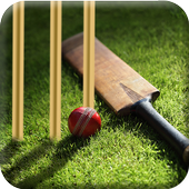 Learn Cricket 2017 icon