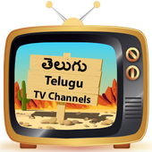All Telugu TV Channels Live HD icon