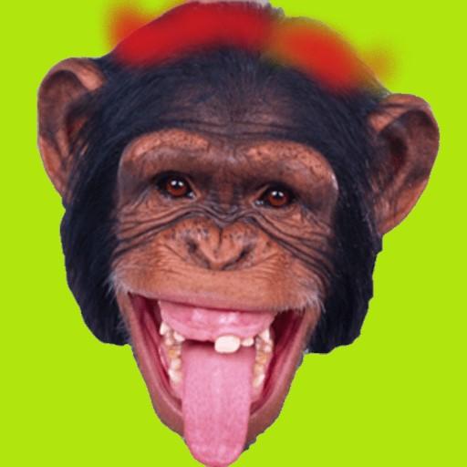 Silly Monkey icon