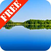 Summer Lake Free LWP