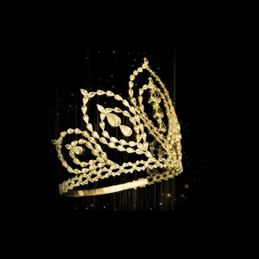 Miss Mauritius 2018 icon