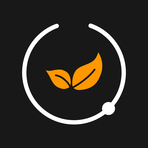 Stone Connect Wi-Fi icon