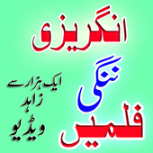 Desi Garam Adnvace icon