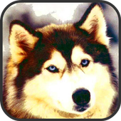 How to Draw Dog icon