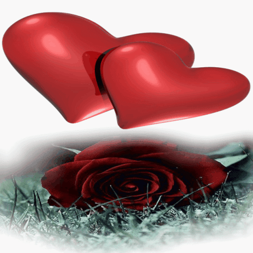Hearts With Rose LWP icon