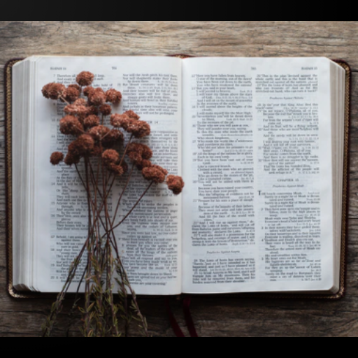 CRE FORM 4 NOTES EXPLAINED WITH PICTURES icon