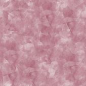 Test Application icon