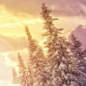 snowfall live wallpapers icon