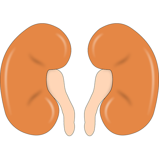 মূত্রনালীর জ্বালাপোড়া কমাতে করনীয় icon