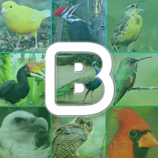 Birds Sounds App icon