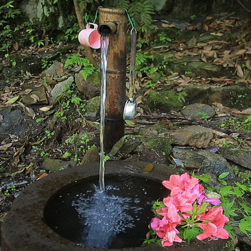 Nature Watertap Live Wallpaper icon