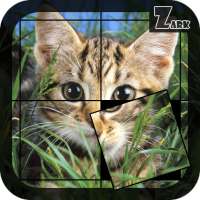 Puzzle Cats
