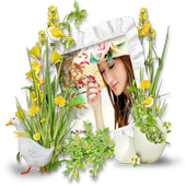 Pics Photo Frame icon