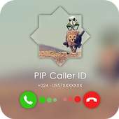 PIP Caller Id Screen on 9Apps
