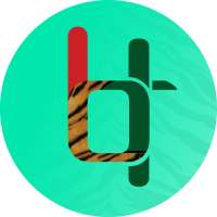 Crickey - Cricket AI Assistant