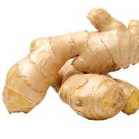 Benefits of Ginger on 9Apps