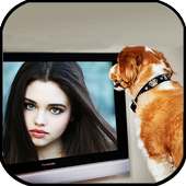 Dog Photo Frames on 9Apps