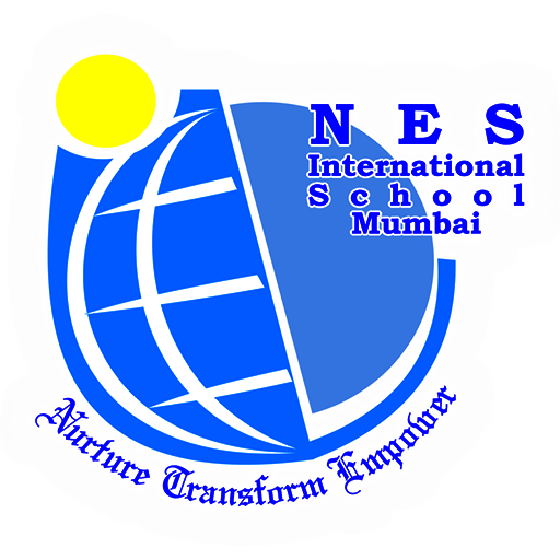 NES International icon