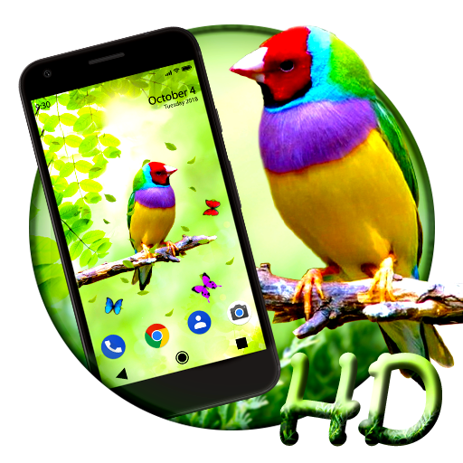 Bird APUS Live Wallpaper icon