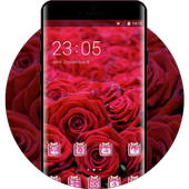 Red rose theme wallpaper diamond icon pack icon