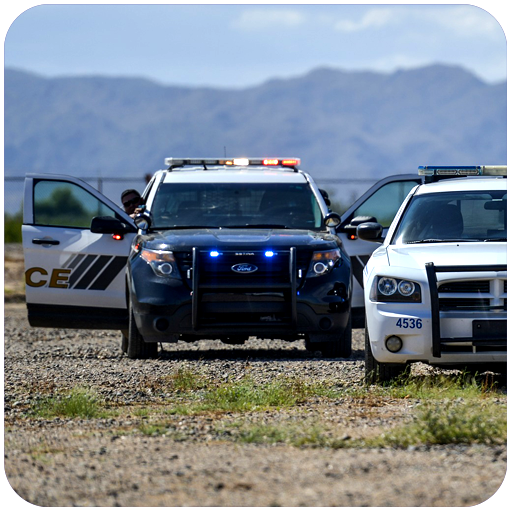 Police Car Driver Chase 3D icon