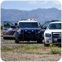 Police Car Driver Chase 3D