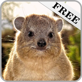 Sounds of animals 4 icon