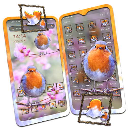 Spring Robin Bird Theme icon