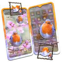 Spring Robin Bird Theme on 9Apps