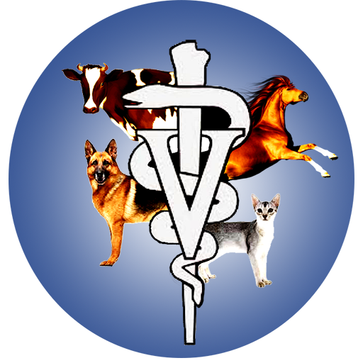 Vet Eye icon