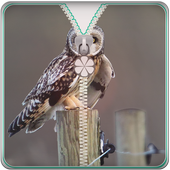 Owl Screen  Zipper Lock icon