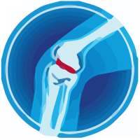 Knee Pain - Physical Therapy Exercises on 9Apps