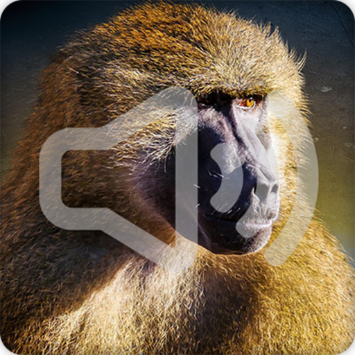 Baboon Sounds Ringtone icon
