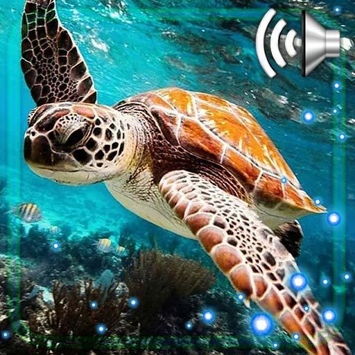 Turtles Best Live Wallpaper icon
